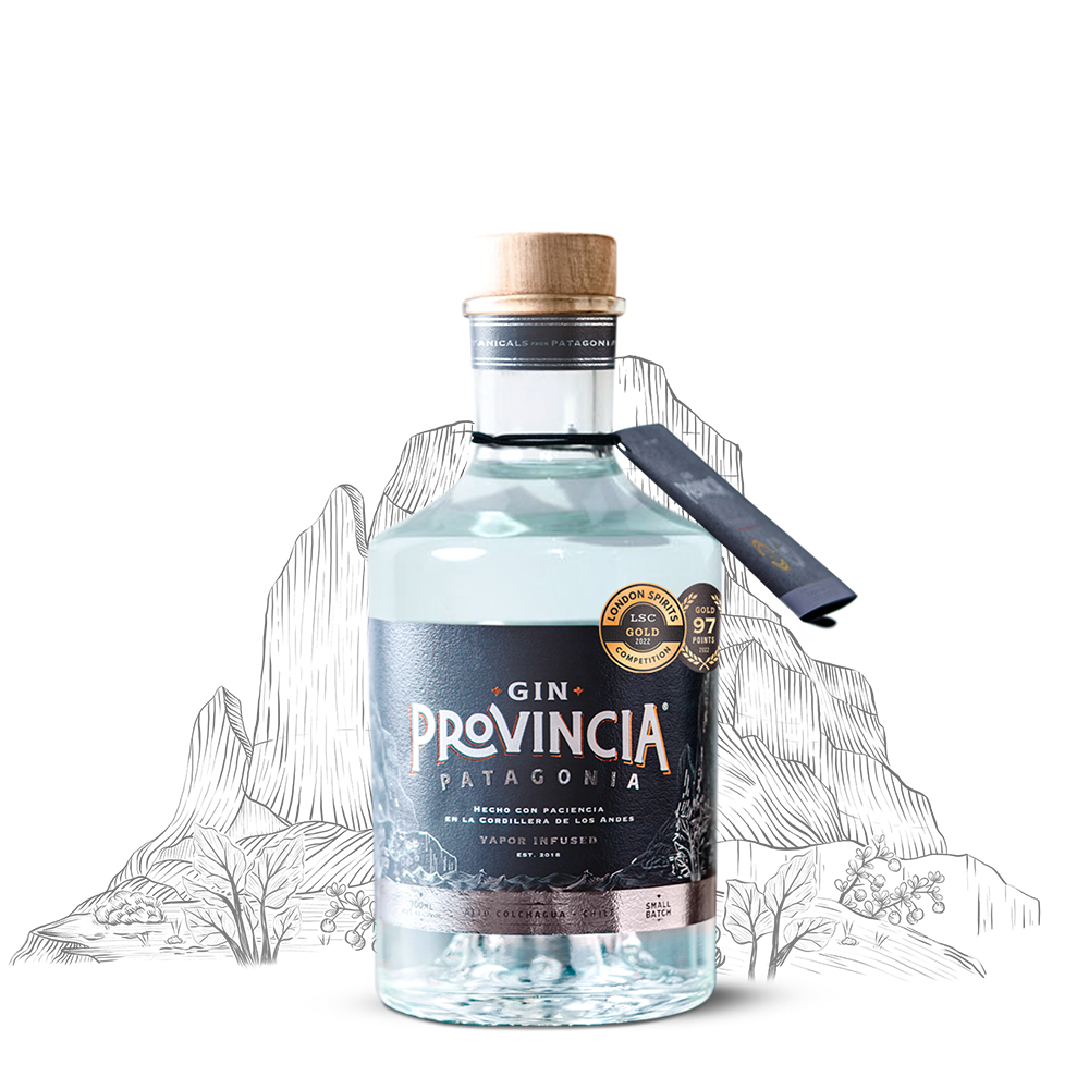 GIN PROVINCIA PATAGONIA